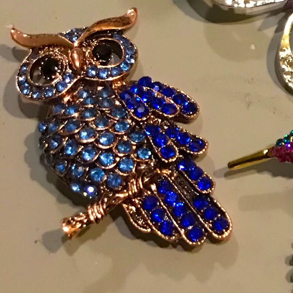 Bedazzled Owl Brooch